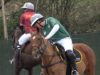 Winter Gold Cup – Tchogan v Hedonism Wines