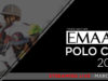 EMAAR3