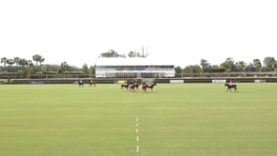 Copa San Enrique de Guadiaro Final – Rhone Hill v Korea Polo