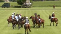 The Gerald Balding – Wacosa vs. La Golandrina/Lodge Security