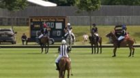 The Apsley Cup – Black Bears vs. Ferne Park