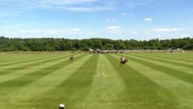 The Costwold Airport Warwickshire Cup – Black Bears vs. MT Vikings