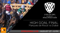 soon-high-soto1