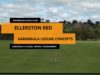 ellerstongarangula
