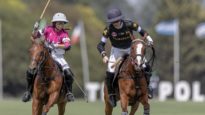 Dundas vs UAE