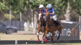 Korea vs Altamira