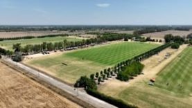 Pink Polo Cup Final – Dundas vs UAE