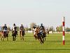 IMG-20230130-WA0003