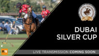 SILVERSOON