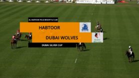habtoordubaiwolves