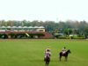 National Pakistan Polo Open 2023 Sub. Final – FG Polo vs DS Polo