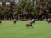 Copa Memorial Jose Ignacio Domecq 2023 Almasanta vs Coliflow