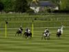 Prince of Wales Trophy 2023 – Black Bears vs Sujan Indian Tigers Highlight