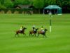 Prince of Wales Trophy – Dubai v Park Place Vaara Highlight