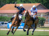 PNC23 – D6 – ILLINOIS vs HdF © Justine Jacquemot_-6