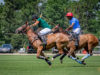 PNC23 – D6 – NORMANDIE vs HAMBOURG © Justine Jacquemot_-3