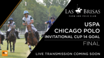 CHICAGO14GOALS