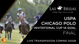 CHICAGO14GOALS