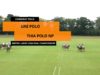 British Ladies 2023 – Uae Polo vs Thai Polo NP