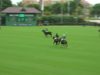 Final Copa De Oro 2023 Alto – Goles – Dubai vs MB Polo Team