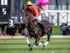 20230904-2 TEDELOU vs DRAGONES ROUGE © Justine Jacquemot-8