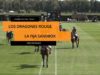 Chantilly – Open de France 23 – Dragones Rouge vs La Fija