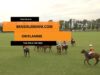 Thai Polo Cup 2023 – Bensoleimani.com vs Oriflamme