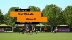 Thai Polo Cup 2023 – Campanulata vs Animales