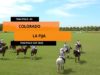 Thai Polo Cup 2023 – La Fija vs Colorado