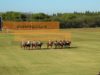 Throne Cup 2023 – Agafay PC v Ecole Royale de Cavalerie