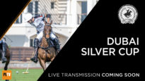 SILVER24