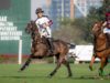 UAE vs Wolves – 7