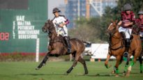 UAE vs Wolves – 7