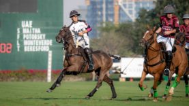UAE vs Wolves – 7