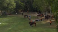 THAI POLO OPEN 2024 – THAI POLO TEAM VS 22BR