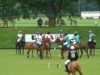 Cicero Cup 2024 – Ojo Caliente vs Las Brisas