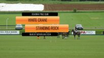 Duke of Sutherland 2024 – White Crane vs Standing Rock