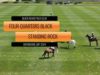 The Oxfordshire 2024  – Four Quarters Black vs Standing Rock