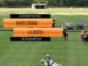The Oxfordshire 2024 – White Crane vs La Berta