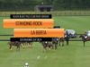 The Oxfordshire Cup 2024 – Standing Rocks vs La Berta