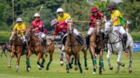 D2 – BELGIUM vs CALI © Justine Jacquemot-530A1014