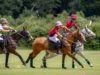 D4 – BELGIUM vs PACA FR © Justine Jacquemot-530A1854