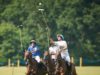 _MB9093425-06-24LDGtOaks v LDMurus