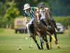 Dubai Polo Team V Sujan Indian Tigers