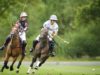 King Power v Black Bears