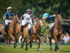 _MB9412229-06-24GtOaksUAE (1)