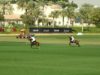 UAE Polo Federation Cup 2025 – Lamar Polo vs UAE Polo – Highlights