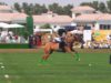 Dubai Gold Cup Final 2025 – Highlights