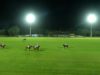 Ghantoot International Polo Championship 2025 – Habtoor Polo vs Uae Polo