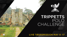 TRIPP